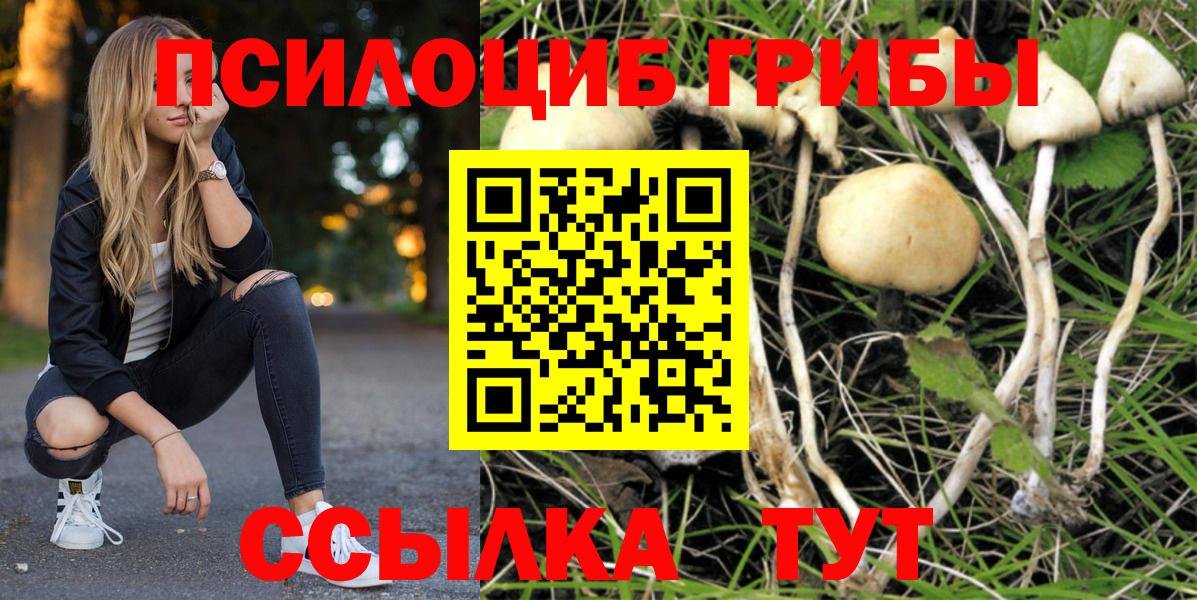Галлюциногенные грибы Cubensis Городец