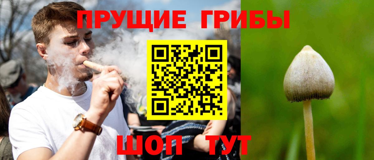 Галлюциногенные грибы прущие грибы  Вход с VPN  Городец 